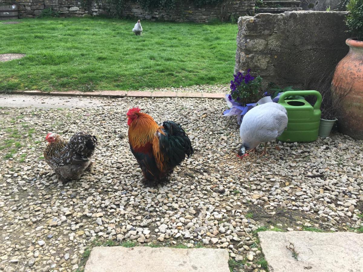 Apartament Woodcock Farm Bristol Zewnętrze zdjęcie